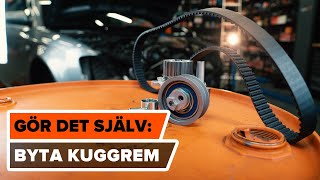 Hur byter man Vattenpump + kuggremssats AUDI A4 (8EC, B7) - videoguide