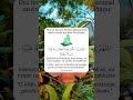 Dua For Success Prophet Muhammad Used To Recite This After Fajr Prayer 