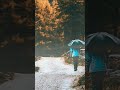 Zivert Life Roudeep Remix рџ ЉрџЋ рџЌѓрџЌ рџЊ DeepRemixes Roudeep Zivert Life Remix Music рџ ҐвњЁрџЋј Zivert Life Roudeep Remix рџ ЉрџЋ рџЌѓрџЌ рџЊ DeepRemixes Roudeep Zivert Life Remix Music рџ ҐвњЁрџЋј