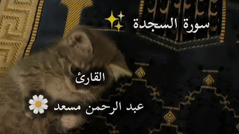 [ ولو شئنا لآتينا كل نفس هداها ] ♡♡ سورة السجدة 🫶🏻✨ القارئ : عبدالرحمن مسعد❤❤