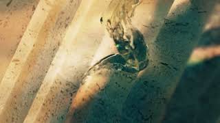 Metamorphic By Tom Dixon For Cosentino, Teaser