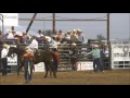 Ranch Broncs at the Golden Spike Rodeo