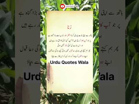 اسلام میں زنا کرنے والے کی سزا žena Trending Viral Shorts Youtubeshorts Video Ytshorts