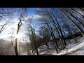 Brennholz Januar / Abgestorbene Buche / #husqvarna 572XPG