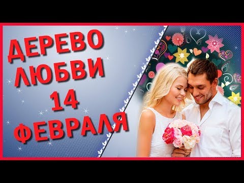 ✿✿✿День Святого Валентина Дерево любви Поздравление с днем влюбленных 14 февраля