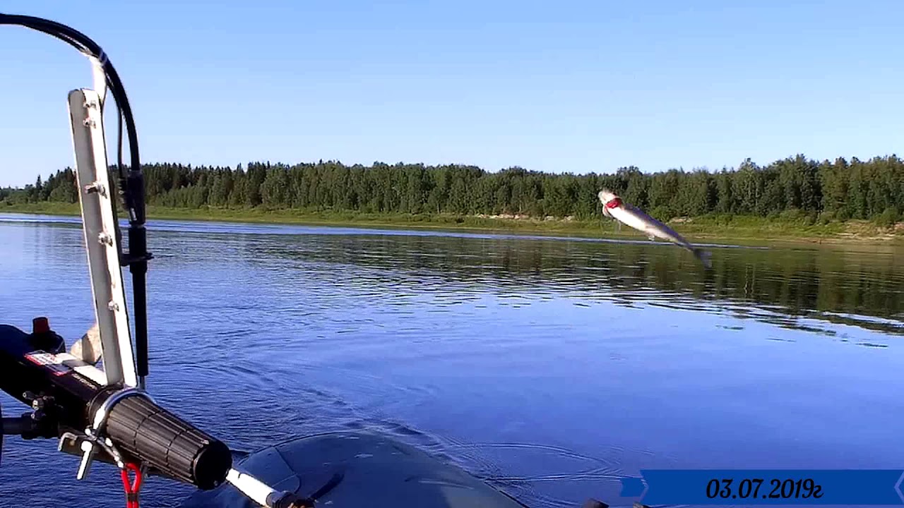Тестирование лодочного мотора