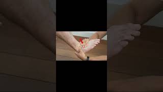 Anterior Ankle Impingement Test #meded #podiatry #physiotherapy