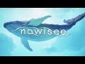 nowisee イントロダクション・ムービー