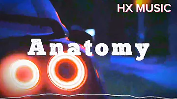 Use Headphones.NextRo. Anatomy 8D Music By @HXMusic123