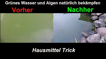 Wie bekomme ich Wasser aus dem Teich ohne Pumpe?