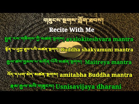 Recite with me༼གཟུངས་སྔགས་ཀློག་ཐབས།༽ how to read mantra. Part 1