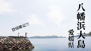 【愛媛・八幡浜大島】貸切確定の離島堤防でまったり五目釣り！【秘境】