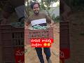 హలో మొనగాళ్లు మన చెట్టుకు ఉన్న మామిడి కాయల్ని ముగ్గేసాం😋#shorts #shortsfeed #mango #foodie #foryou
