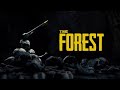 The forest