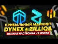 Прибыльный майнинг на видеокартах Dynex + Zilliqa. Полная настройка майнинга DNX + ZIL на HiveOS