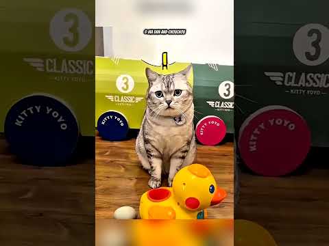 Кошка стала мамой утёнка 😮