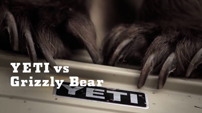 YETI vs. 500 lb Man  YETI Coolers 