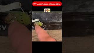 مواقف لاشخاص حظهم نحس ج166