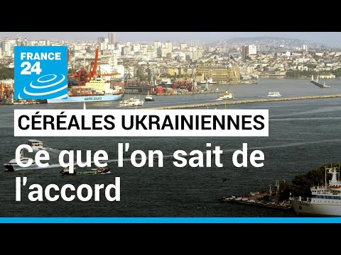 Céréales : ce que l'on sait de l'accord signé entre l'Ukraine et la Russie • FRANCE 24