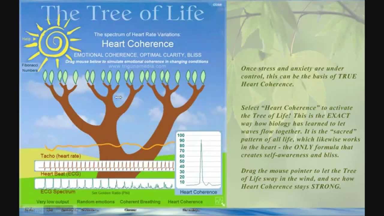 Heart Coherence and the Tree of Life by TrigunaMedia HQ 2012