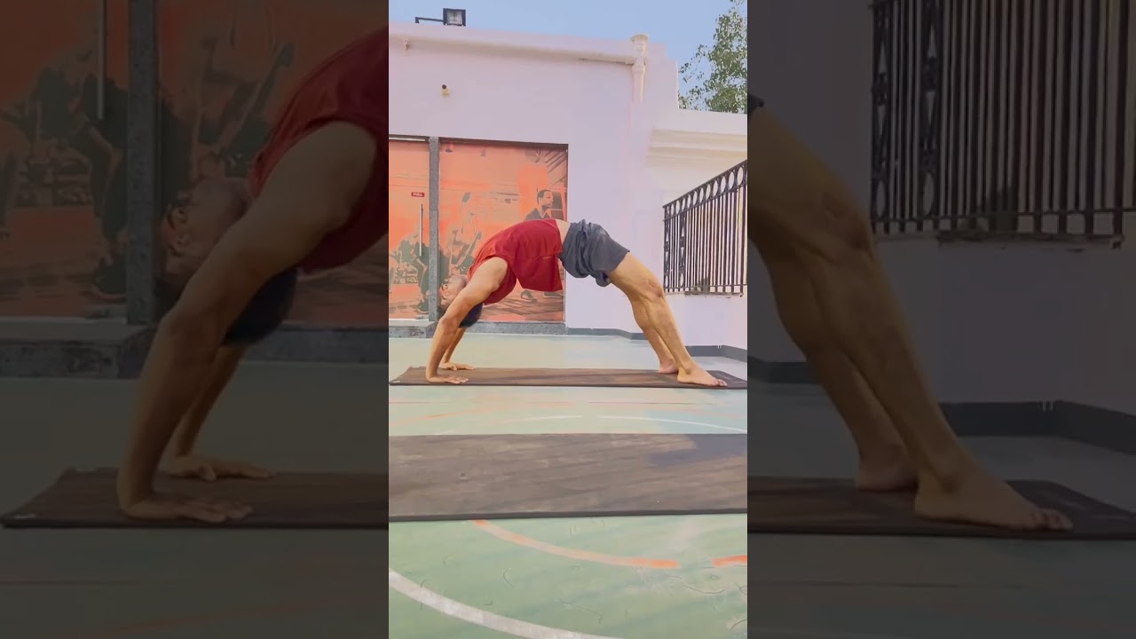 best flexibility exercise|chakrasan kaise kare | 
