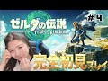 【#4】遂にハイラル城の中へ・・！！！【ゼルダの伝説ティアーズオブザキングダム】