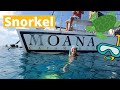 Snorkel TURTLE CANYON with Moana Catamaran | OAHU