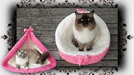 DIY for CATs by Hohentwielbirmas - YouTube