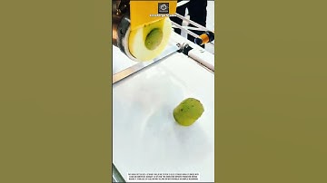 Dough Cutter Tool Innovation with Straight Guillotine System for Clean Cuts #innovation