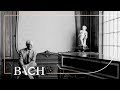 Hantaï on Gustav Leonhardt | Netherlands Bach Society