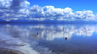 The Sound of Still Water
