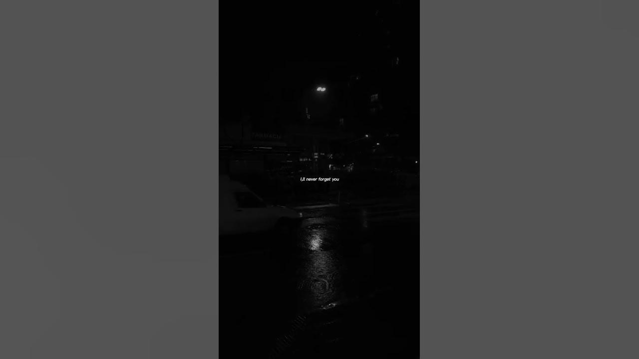 Noisettes - Never Forget You "so glad you're back again" (Lirik) WHATSAPP STATUS