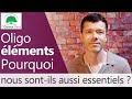 Oligo-éléments - Comprendre à quoi ils servent [2021]