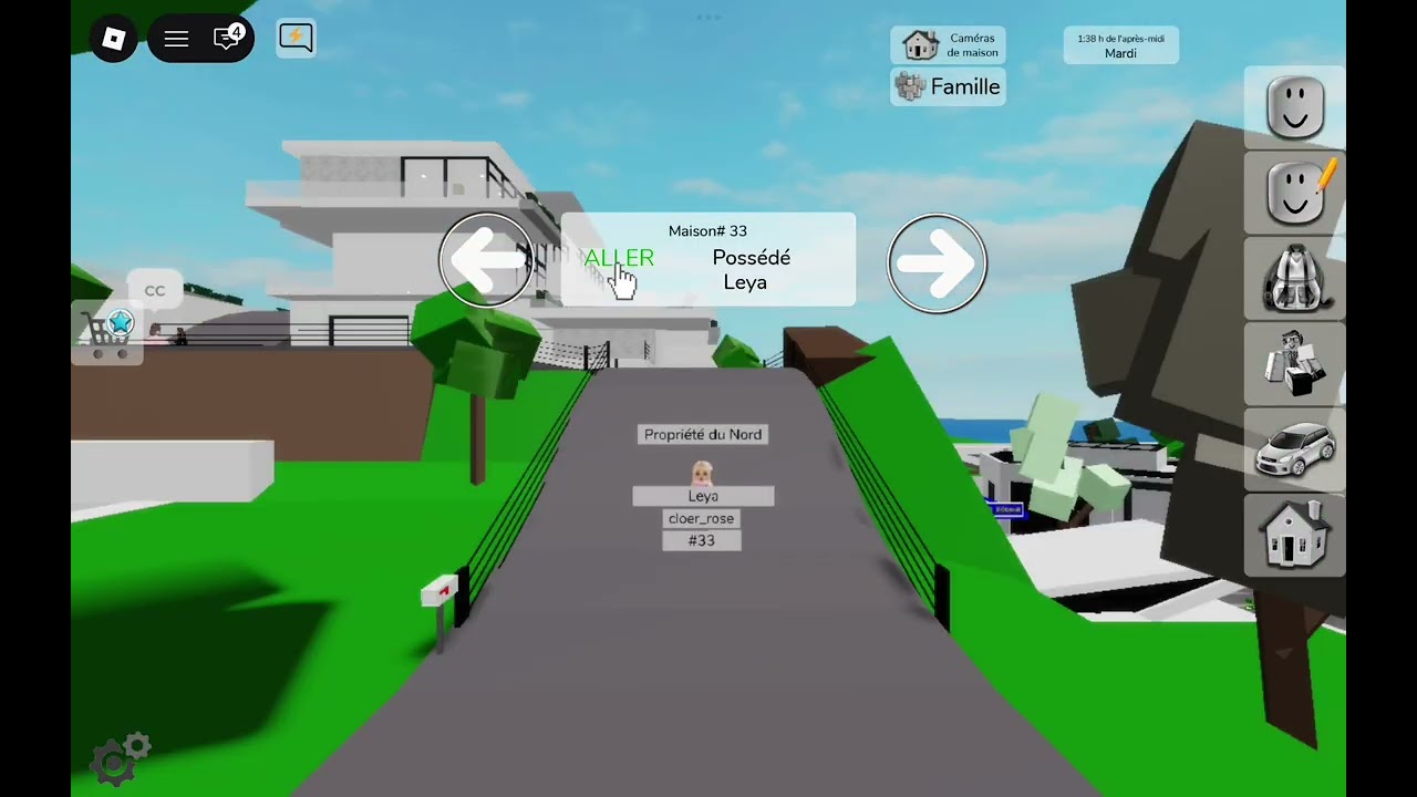 J'espionne sur brookhaven rp 🏡