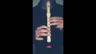 learn how to play recorder(titanic song) screenshot 2