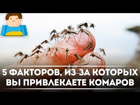 5 факторов, из-за которых вы привлекаете КОМАРОВ [Plushkin]