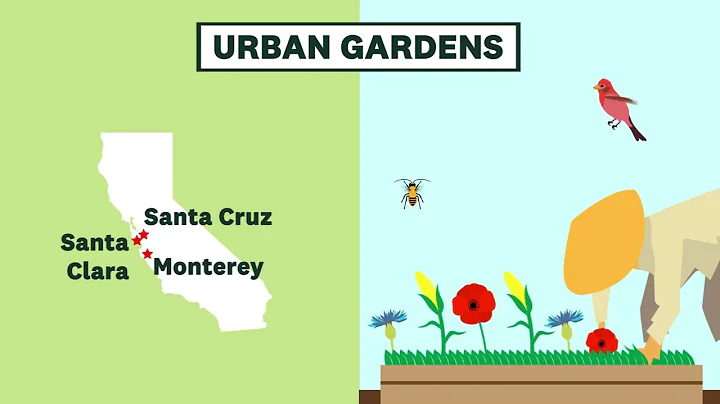 Urban Gardens and Rare Biodiversity
