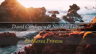 Video thumbnail of "David Condiescu - Nicoleta Lupsor - Ei marea priveau"