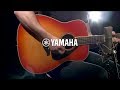 Yamaha FG830 Acoustic Guitar, Autumn Burst | Gear4music demo