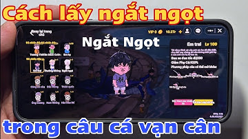 Cách lấy ngắt ngọt trong câu cá vạn cân 