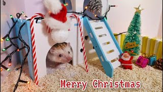 Hedgehog&#39;s Christmas