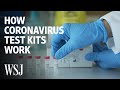 How Coronavirus Test Kits Work 