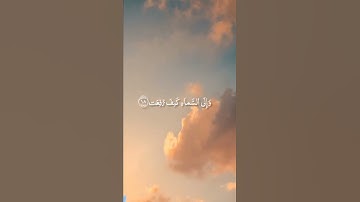 افلا ينظرون الى الابل كيف خلقت - القارئ عبد الرحمن مسعد