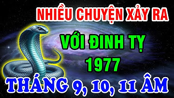 Tháng 9, 10, 11 Âm Lịch Có Rất Nhiều Việc Xảy Ra Với Tuổi Đinh Tỵ 1977 Chú Ý Nắm Bắt Cơ Hội