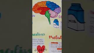 infografía creativa #ArelysNotes ❤🧡💛💚💙💜