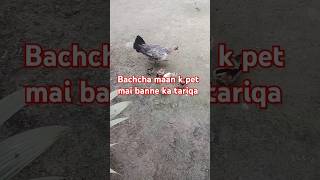 Bachche ka maan k pet mai banne ka tariqa#shortvideo #hadeesknowledge #islamicknowledge