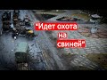 "Идет охота на свиней". Бои на подступах к Киеву