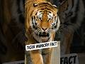 बाघ की खतरनाक चालाकी 😳 | Tiger Mimicry Fact #tigerfacts #wildlifefacts #tiger #tigerconservation