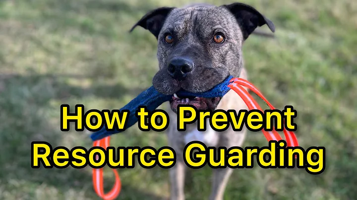 How to Prevent Resource Guarding