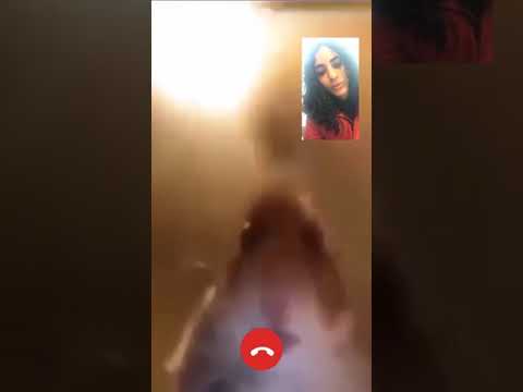 hamster-facetime-(meme)